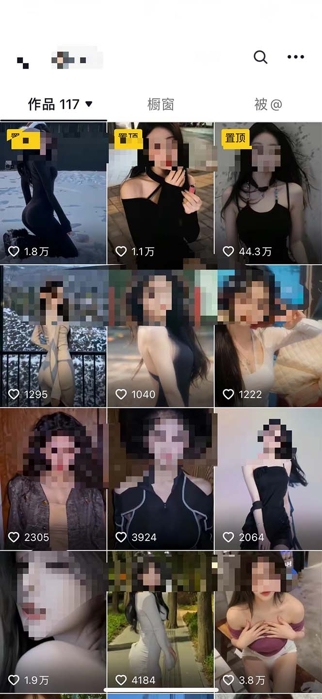 20250524123109-6831bc0d7cf9a.jpg 利用AI美女视频引粉,单号日引2000+,新手也能干(教程+软件)