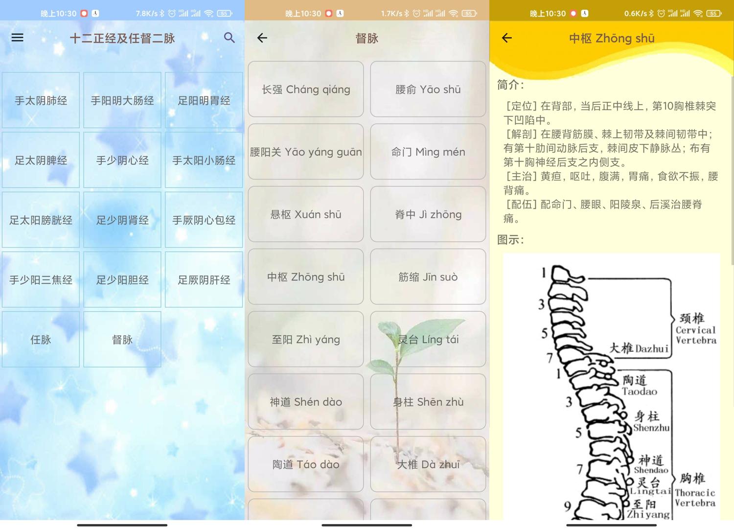 安卓人体穴位图解v3.1.8可离线版网赚项目-副业赚钱-互联网创业-资源整合八方网创