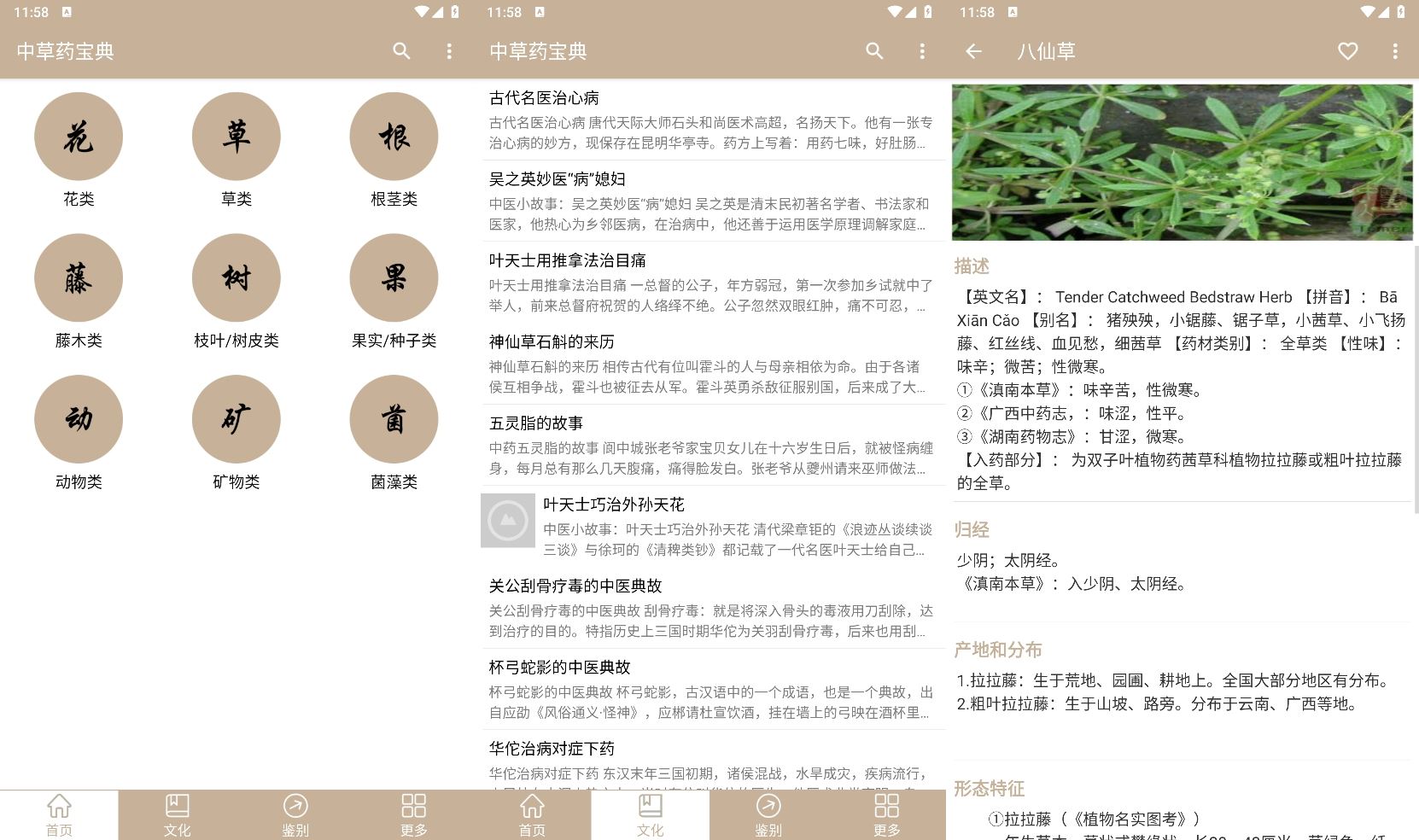 安卓中草药宝典v2.5.10纯净版网赚项目-副业赚钱-互联网创业-资源整合八方网创