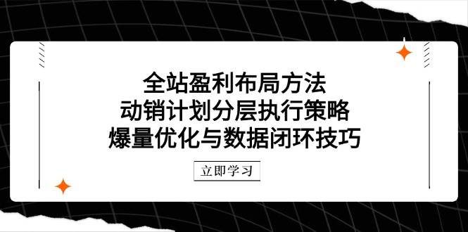 全站盈利布局方法：动销计划分层执行策略，爆量优化与数据闭环技巧网赚项目-副业赚钱-互联网创业-资源整合八方网创