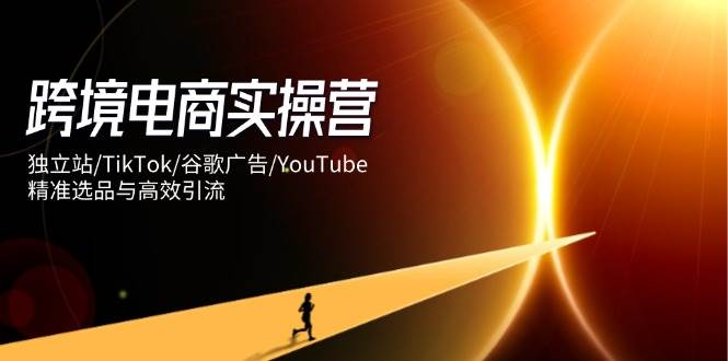 跨境电商实操营：独立站/TikTok/谷歌广告/YouTube，精准选品与高效引流网赚项目-副业赚钱-互联网创业-资源整合八方网创