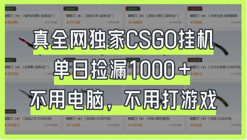 真全网独家CSGO挂机,单日捡漏1000+,不用电脑,不用养号网赚项目-副业赚钱-互联网创业-资源整合八方网创
