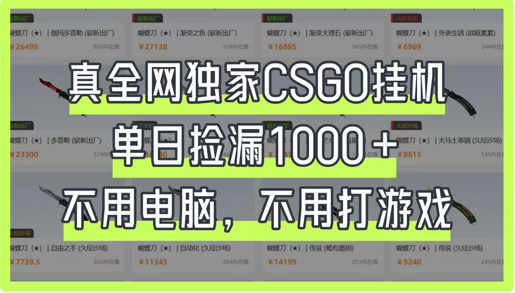 真全网独家CSGO挂机，单日捡漏1000+，不用电脑，不用养号网赚项目-副业赚钱-互联网创业-资源整合八方网创