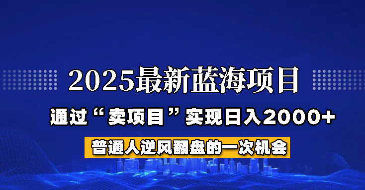 2025年蓝海项目，如何通过“网创项目”日入2000+网赚项目-副业赚钱-互联网创业-资源整合八方网创