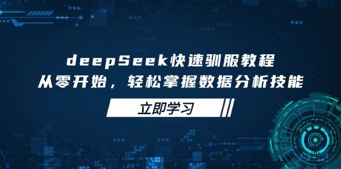 deepSeek快速驯服教程，从零开始，轻松掌握数据分析技能网赚项目-副业赚钱-互联网创业-资源整合八方网创