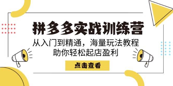 拼多多实战训练营，从入门到精通，海量玩法教程，助你轻松起店盈利网赚项目-副业赚钱-互联网创业-资源整合八方网创