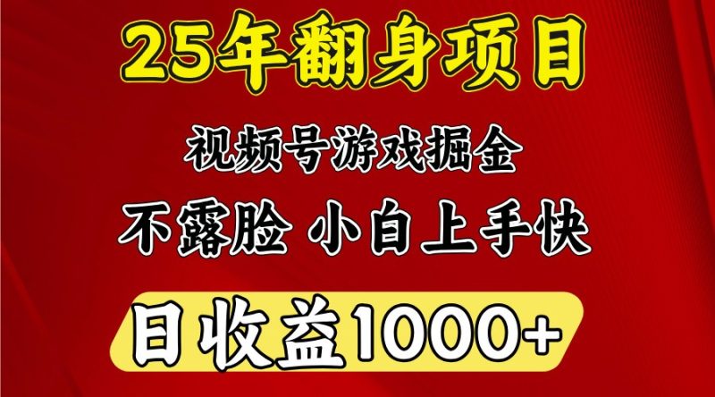 一天收益1000+ 25年开年落地好项目网赚项目-副业赚钱-互联网创业-资源整合八方网创