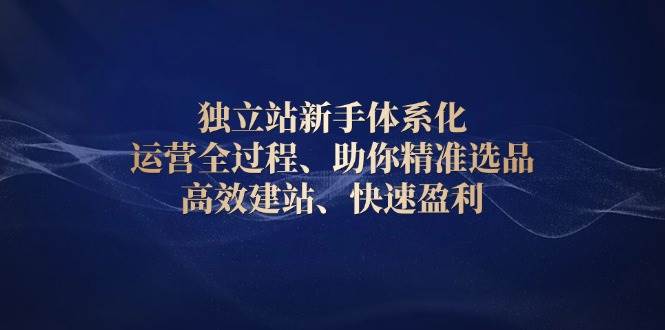 独立站新手体系化 运营全过程，助你精准选品、高效建站、快速盈利网赚项目-副业赚钱-互联网创业-资源整合八方网创