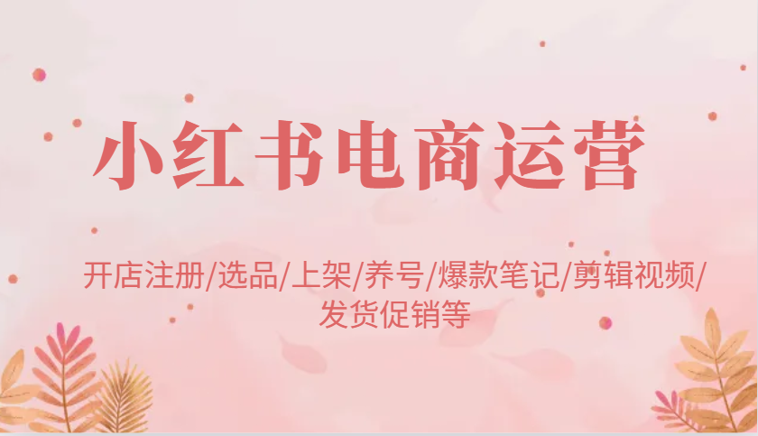 小红书电商运营：开店注册/选品/上架/养号/爆款笔记/剪辑视频/发货促销等网赚项目-副业赚钱-互联网创业-资源整合八方网创