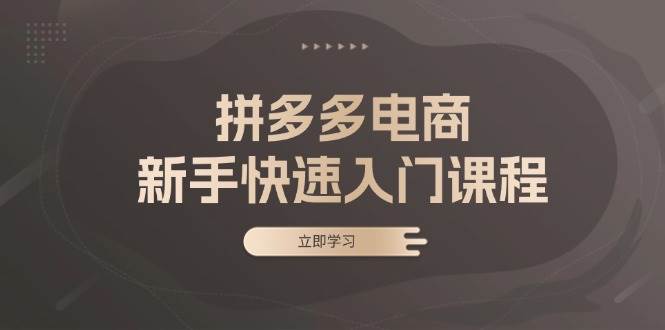 拼多多电商新手快速入门课程：涵盖基础、实战与选款，助力小白轻松上手网赚项目-副业赚钱-互联网创业-资源整合八方网创