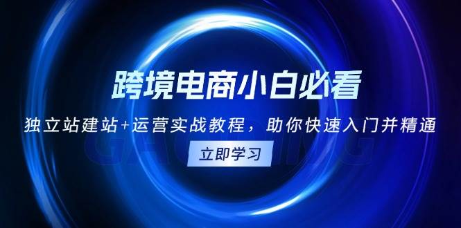 跨境电商小白必看！独立站建站+运营实战教程，助你快速入门并精通网赚项目-副业赚钱-互联网创业-资源整合八方网创