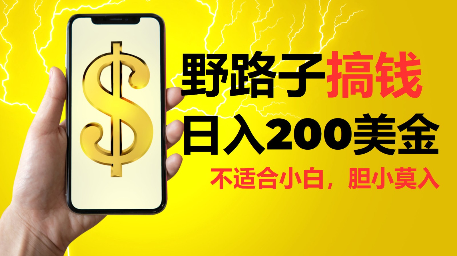 挂机野路子搞钱，日入200美金，路子很野，小白莫入网赚项目-副业赚钱-互联网创业-资源整合八方网创