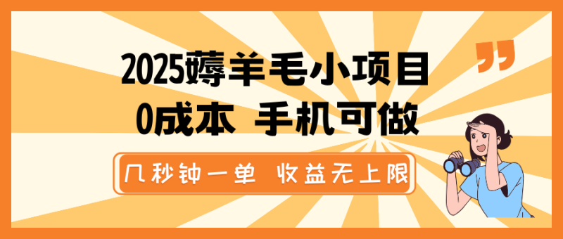 2025薅羊毛小项目,0成本 手机可做,几秒钟一单,收益无上限网赚项目-副业赚钱-互联网创业-资源整合八方网创