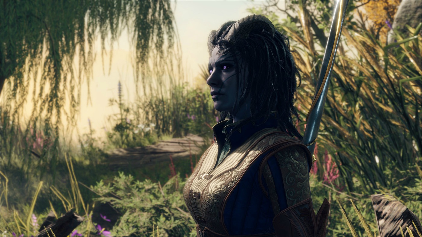 《博德之门3》v4.1.1.4251417正式版