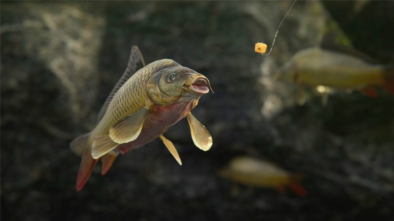 《人渣》v0.9.610.89658中文版网赚项目-副业赚钱-互联网创业-资源整合八方网创