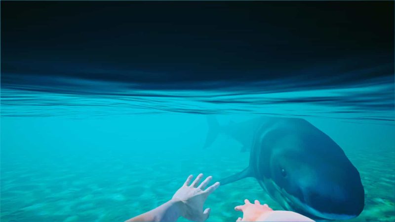 《海滩俱乐部模拟器2024》中文版网赚项目-副业赚钱-互联网创业-资源整合八方网创