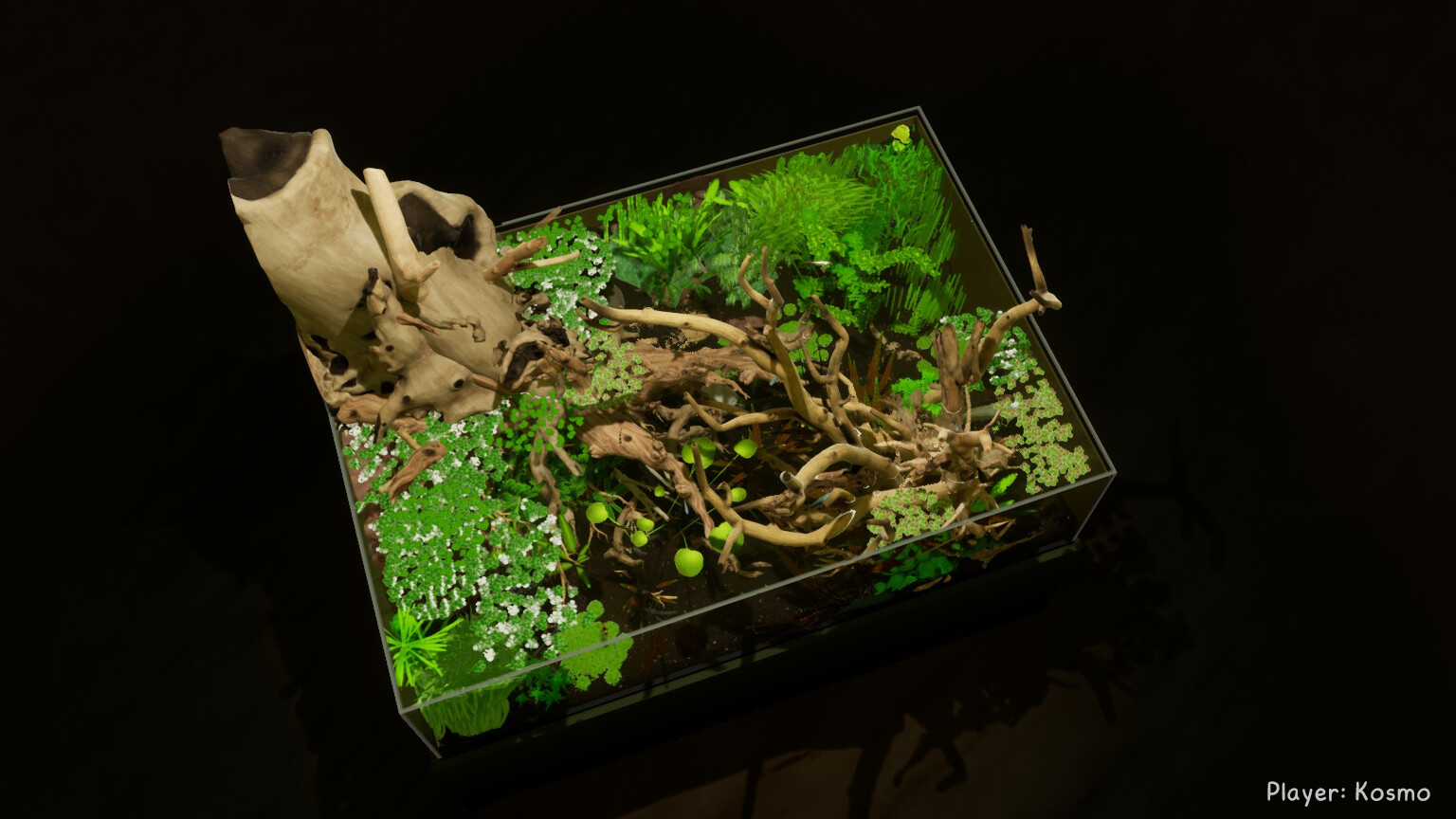 《养鱼模拟器》v00.03.24中文版