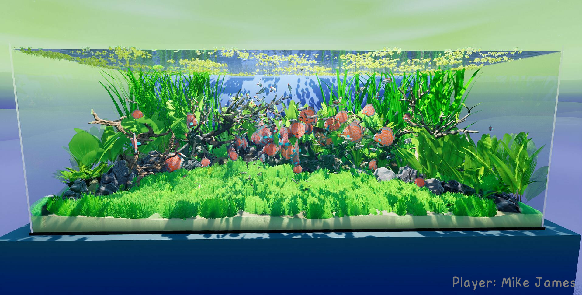 《养鱼模拟器》v00.03.24中文版