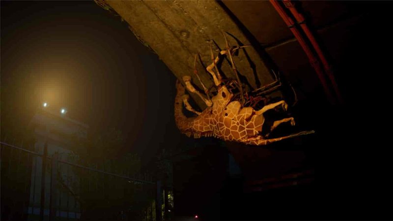 《癫狂动物园》v1.6.5中文版网赚项目-副业赚钱-互联网创业-资源整合八方网创