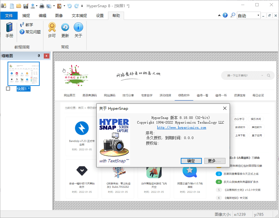 HyperSnap v9.5.00便携汉化版网赚项目-副业赚钱-互联网创业-资源整合八方网创