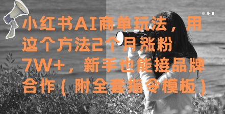 小红书AI商单玩法，用这个方法2个月涨粉7W+，新手也能接品牌合作(附全套指令模板)网赚项目-副业赚钱-互联网创业-资源整合八方网创