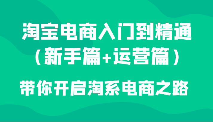 淘宝电商入门到精通（新手篇+运营篇）带你开启淘系电商之路网赚项目-副业赚钱-互联网创业-资源整合八方网创