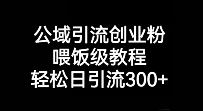 公域引流创业粉，喂饭级教程，轻松日引流300+【揭秘】网赚项目-副业赚钱-互联网创业-资源整合八方网创