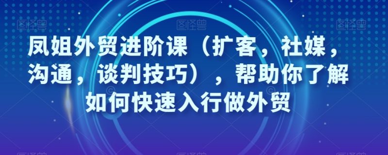 凤姐外贸进阶课(扩客,社媒,沟通,谈判技巧),帮助你了解如何快速入行做外贸网赚项目-副业赚钱-互联网创业-资源整合八方网创