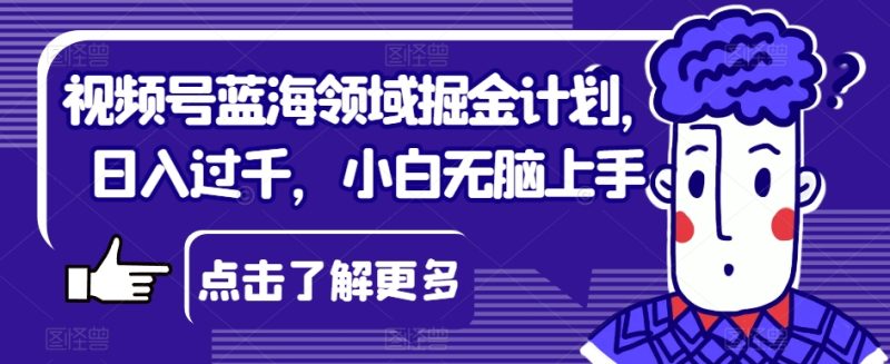 视频号蓝海领域掘金计划，日入过千，小白无脑上手【揭秘】网赚项目-副业赚钱-互联网创业-资源整合八方网创