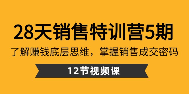 28天销售特训营5期：了解赚钱底层思维，掌握销售成交密码（12节课）网赚项目-副业赚钱-互联网创业-资源整合八方网创