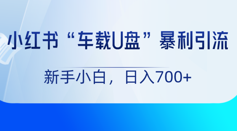 小红书“车载U盘”项目,暴利引流,新手小白轻松日入700+网赚项目-副业赚钱-互联网创业-资源整合八方网创