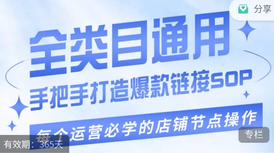单品爆款打造实操运营，单品爆款从“0”-“1”手把手演练运营步骤网赚项目-副业赚钱-互联网创业-资源整合八方网创