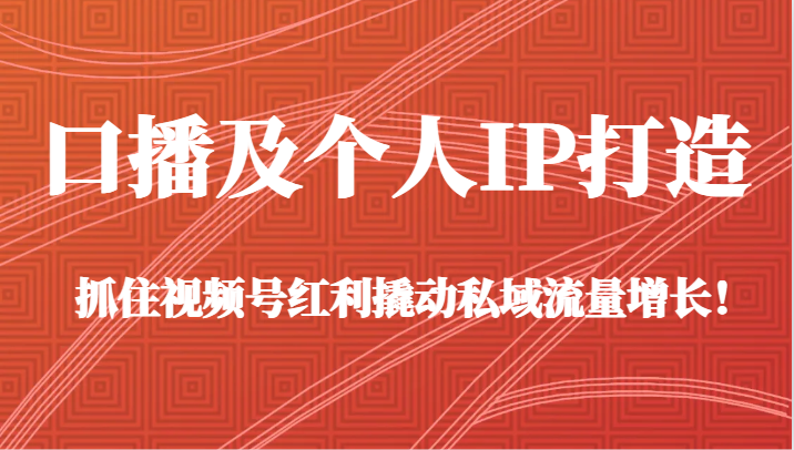 口播及个人IP打造，抓住视频号红利撬动私域流量增长！（45节课）网赚项目-副业赚钱-互联网创业-资源整合八方网创