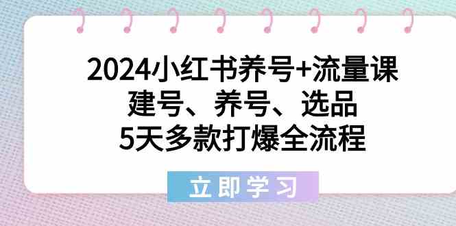 2024小红书养号+流量课：建号、养号、选品，5天多款打爆全流程网赚项目-副业赚钱-互联网创业-资源整合八方网创