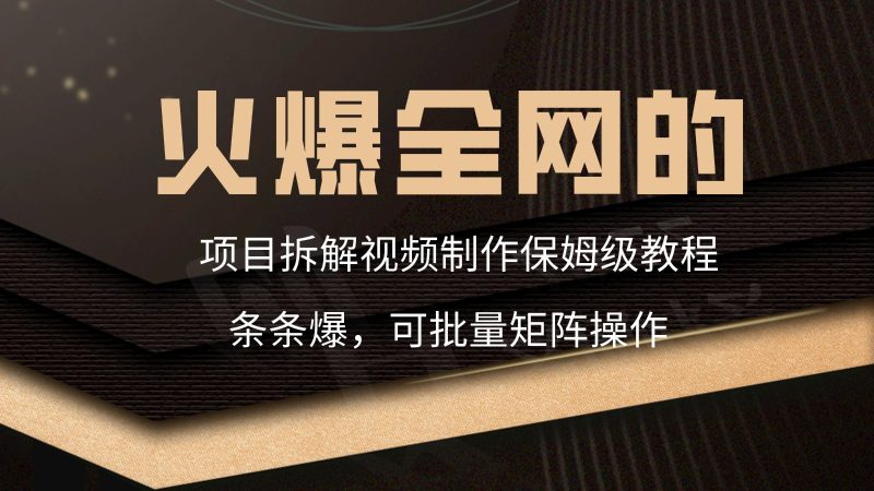 火爆全网的项目拆解类视频如何制作,条条爆,保姆级教程网赚项目-副业赚钱-互联网创业-资源整合八方网创