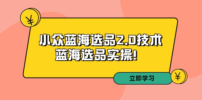 拼多多培训第33期：小众蓝海选品2.0技术-蓝海选品实操网赚项目-副业赚钱-互联网创业-资源整合八方网创