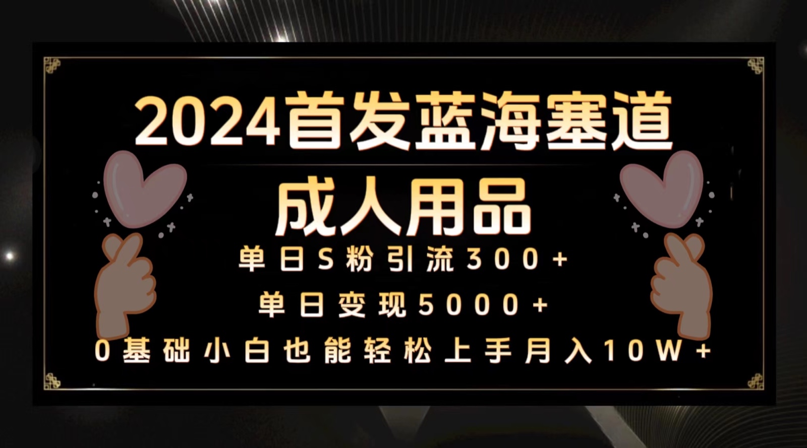 2024首发蓝海塞道成人用品，月入10W+保姆教程网赚项目-副业赚钱-互联网创业-资源整合八方网创
