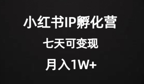 价值2000+的小红书IP孵化营项目，超级大蓝海，七天即可开始变现，稳定月入1W+网赚项目-副业赚钱-互联网创业-资源整合八方网创