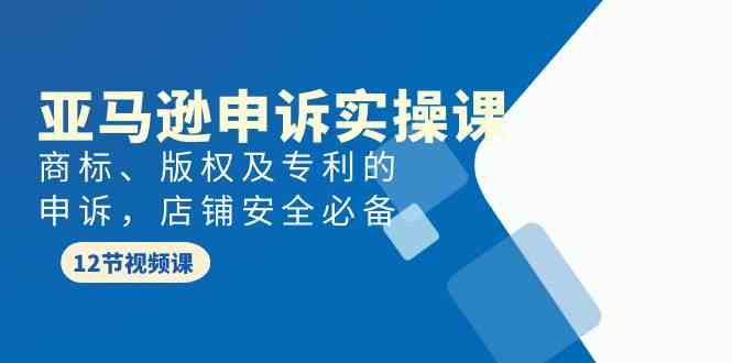 亚马逊申诉实战课，商标、版权及专利的申诉，店铺安全必备网赚项目-副业赚钱-互联网创业-资源整合八方网创