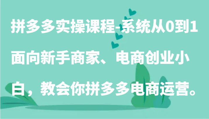 拼多多实操课程-系统从0到1，面向新手商家、电商创业小白，教会你拼多多电商运营。网赚项目-副业赚钱-互联网创业-资源整合八方网创