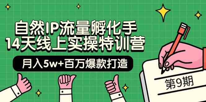 自然IP流量孵化手14天线上实操特训营【第9期】月入5w+百万爆款打造 (74节)网赚项目-副业赚钱-互联网创业-资源整合八方网创
