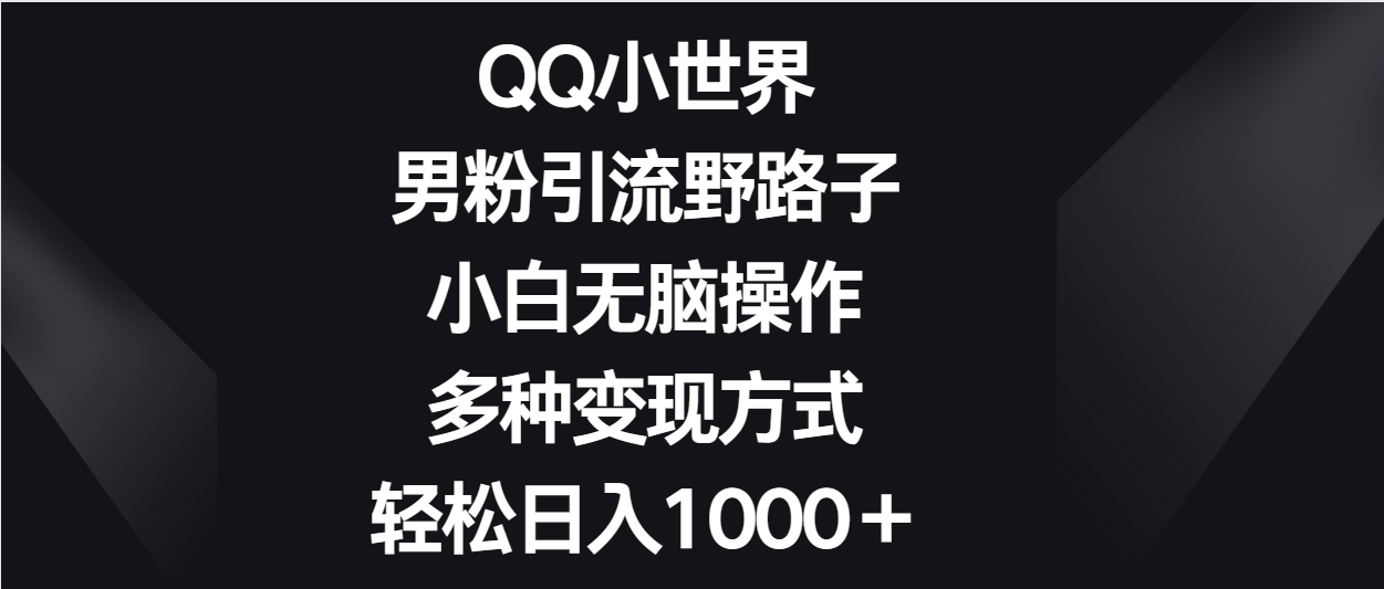 QQ小世界男粉引流野路子，小白无脑操作，多种变现方式轻松日入1000＋网赚项目-副业赚钱-互联网创业-资源整合八方网创