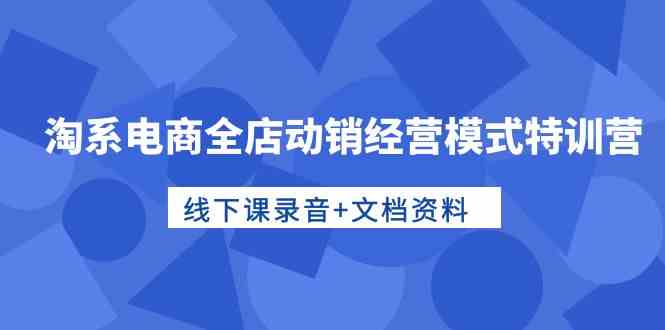 淘系电商全店动销经营模式特训营，线下课录音+文档资料网赚项目-副业赚钱-互联网创业-资源整合八方网创