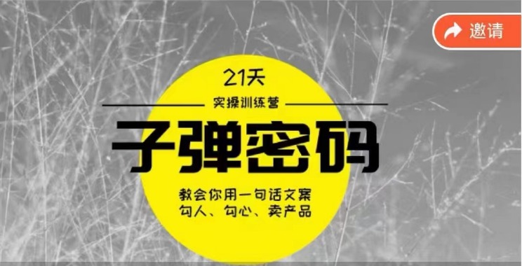 《子弹密码训练营》用一句话文案勾人勾心卖产品，21天学到顶尖文案大师策略和技巧网赚项目-副业赚钱-互联网创业-资源整合八方网创