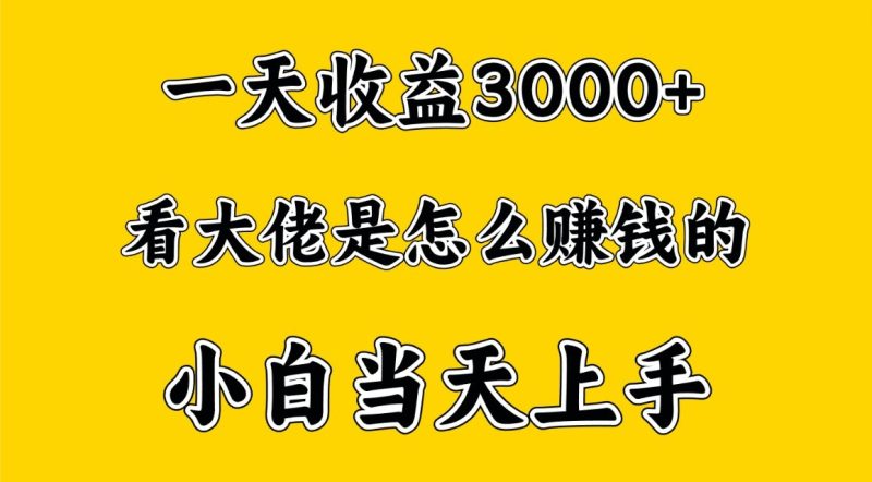 一天赚3000多，大佬是这样赚到钱的，小白当天上手，穷人翻身项目网赚项目-副业赚钱-互联网创业-资源整合八方网创