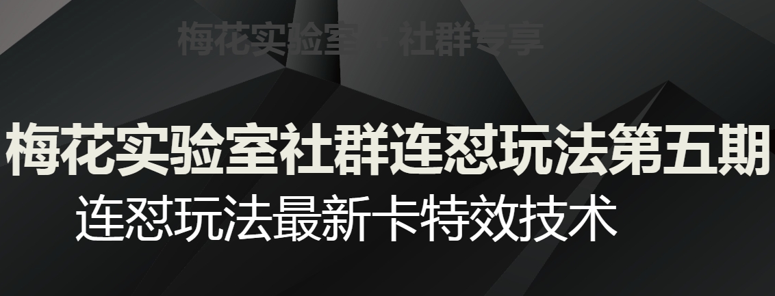 梅花实验室社群连怼玩法第五期，视频号连怼玩法最新卡特效技术网赚项目-副业赚钱-互联网创业-资源整合八方网创
