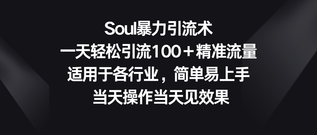 Soul暴力引流术，一天轻松引流100＋精准流量，适用于各行业，简单易上手！网赚项目-副业赚钱-互联网创业-资源整合八方网创