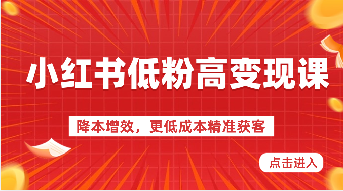 小红书低粉高变现课-降本增效，更低成本精准获客，小红书必爆的流量密码网赚项目-副业赚钱-互联网创业-资源整合八方网创