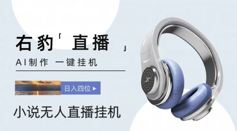 右豹小说无人直播挂机吸金项目,简单易行收益稳定, 月入1000+网赚项目-副业赚钱-互联网创业-资源整合八方网创