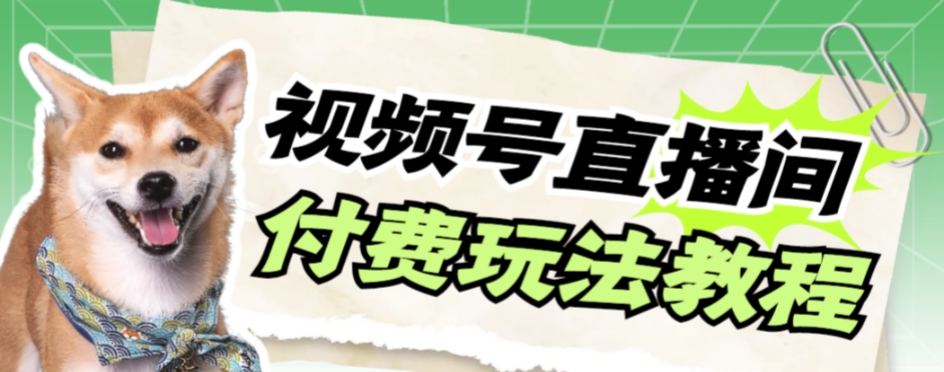 视频号美女付费无人直播，轻松日入500+【详细玩法教程】网赚项目-副业赚钱-互联网创业-资源整合八方网创